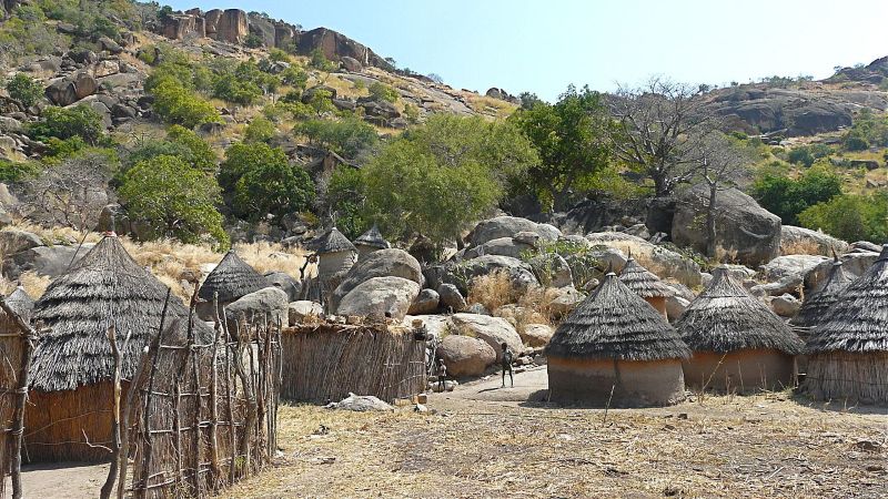 وتحققت بعض أحلامي الأوروبية.. “دي فيينا روضة من الجنة”
